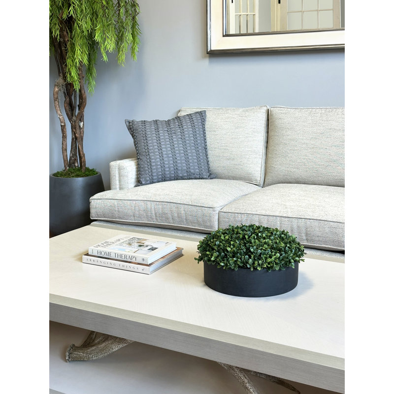 Boxwood 6" Artificial in Fiberstone Planter