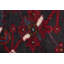 Tapis traditionnel 10 x 13