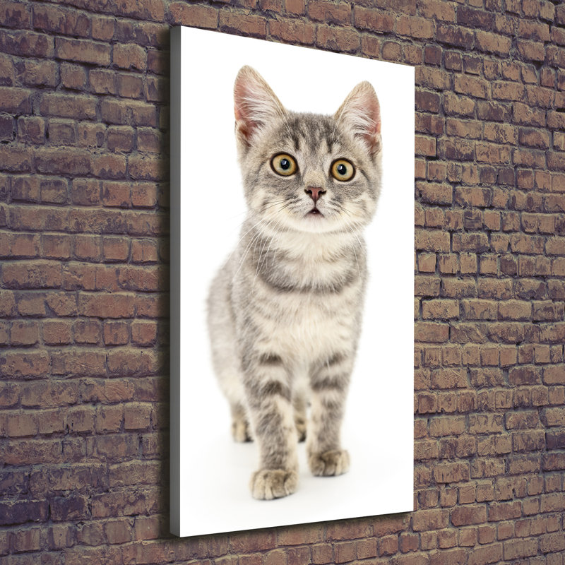 Grey Cat - Wrapped Canvas Print