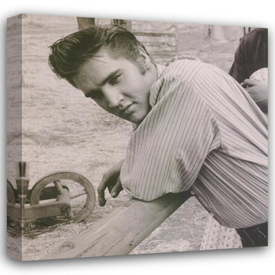 Elvis, 1956 MCG-E391