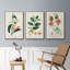 Turpin Tropical Botanicals IV, ensemble de 3 toiles encadrées-97945905-97945911