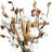 Cotton Arrangement