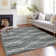 Lamanna Washable Abstract Indoor / Outdoor Rug