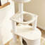 Structure d'escalade simple pour chat blanc cassé