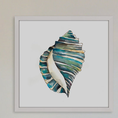 "Aquarelle Shells I" Framed Print