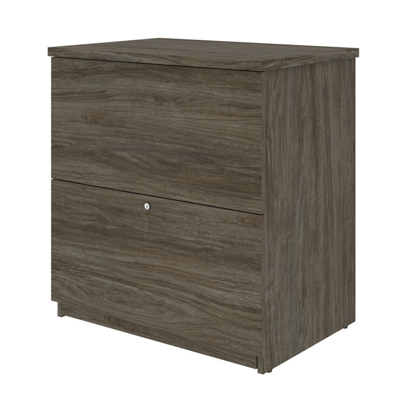 Pasiak 28.4'' Wide 2 -Drawer File Cabinet, Walnut Gray