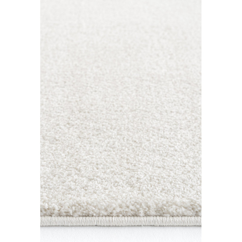 Risharn Solid Colour Machine Made Indoor / Outdoor Area Rug, Rectangle 9'10" x 11'6"
