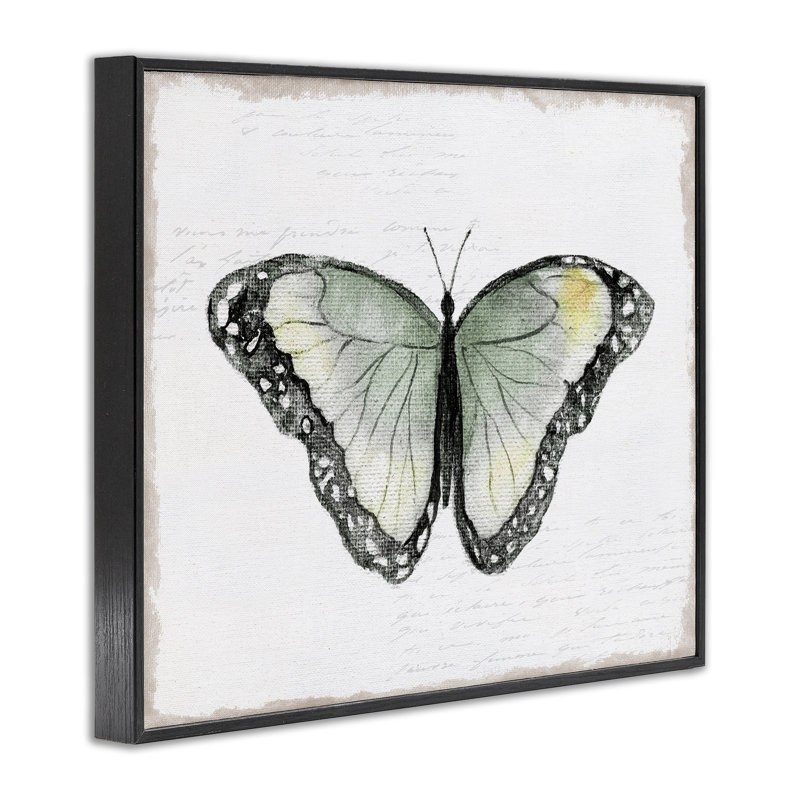 «Simple Butterfly Visage», estampe numérique par Janet Tava, Giclée encadrée noir minuit, H 16 po x l 20 po