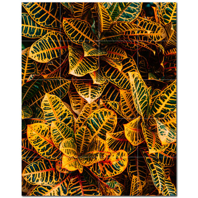 Photo d'arbres 6 x 6