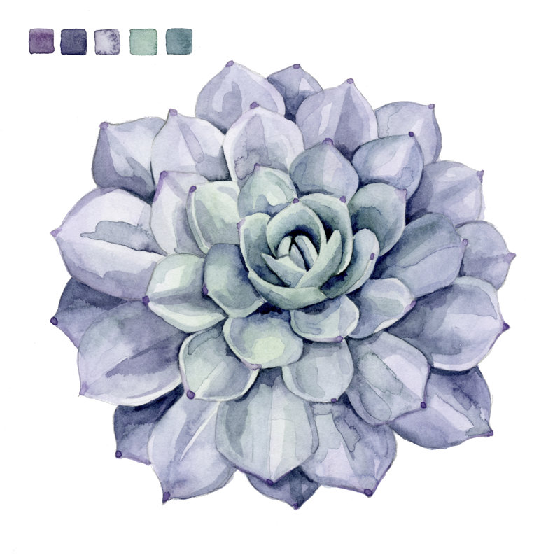 Succulent Swatches III 1 Piece Wrapped Canvas Painting, 91cm H x 91cm W