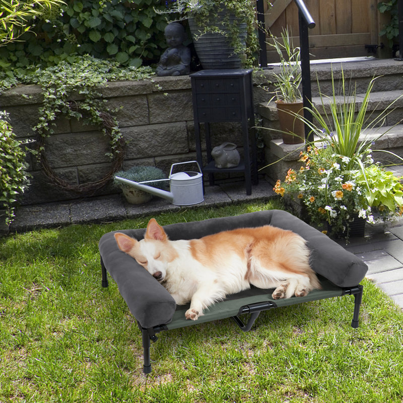 Lit de camp avec traversin rembourré amovible, Grand (H 11 po x l 35,5 po x P 28 po), Gris clair