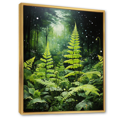 Yosvani " Ferns Plant Mystical Shadows II " Color Photography Print