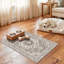 Tapis d'entrée lavable 2 x 3: Tapis de couloir de cuisine de ferme Tapis de sol large et résistant à l'eau pour la salle de bain Tapis antidérapant pour salon, chambre à coucher, salle à manger (beige)-529634717
