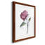 Watercolor Floral Contour III Premium encadré mat - prêt à être accroché-670108983-670108991