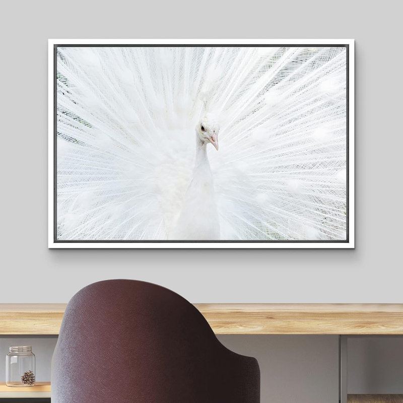«Animals Vibrant Bright White Peacock Bird» sur toile, Cadre blanc, H 24 po x l 36 po x P 1,5 po