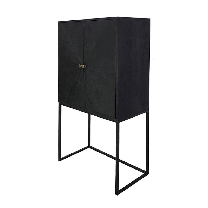 2-Door Cabinet