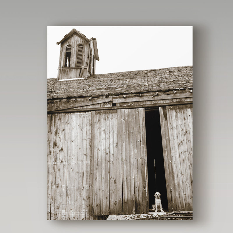 Kinneola «Barnyard Dog», reproduction de photo sur toile tendue, H 24 po x l 18 po x P 2 po