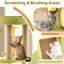 124 cm H Cat Tree / Condo