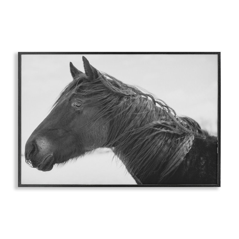 «Draisma Winter Herd Portrait», estampe numérique, conception par Amy Carroll, H 12 po x l 18 po, Giclée encadrée noir minuit