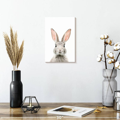 Visage de lapin Brampt