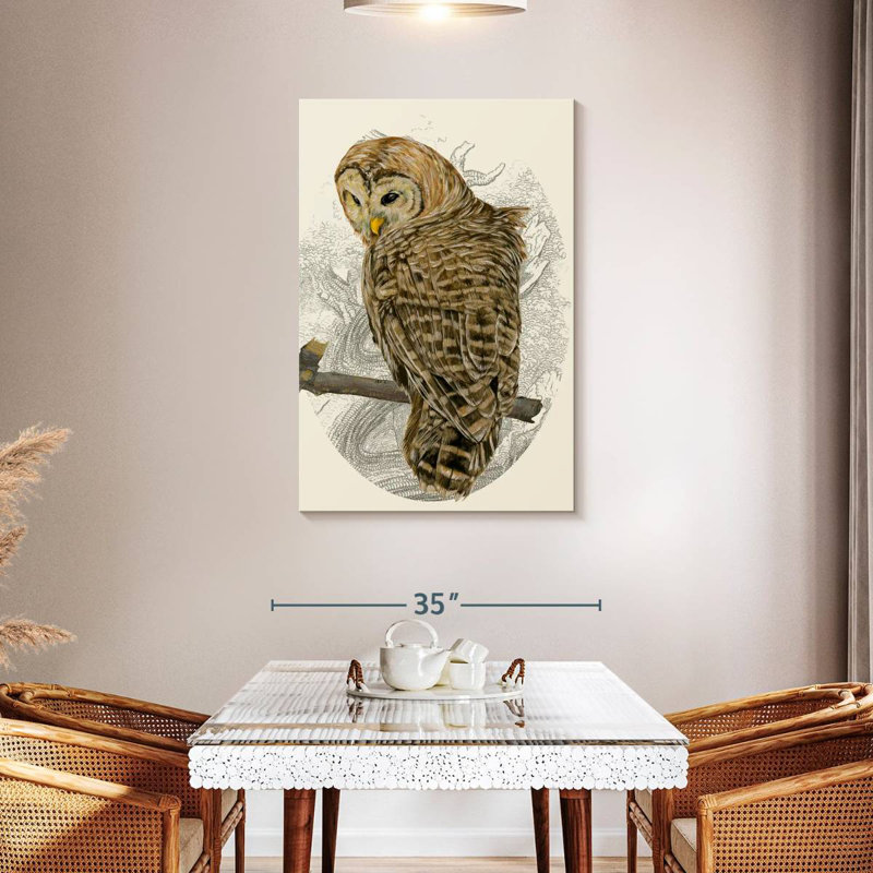 Brampt Barred Owl II, 45" H x 30" W