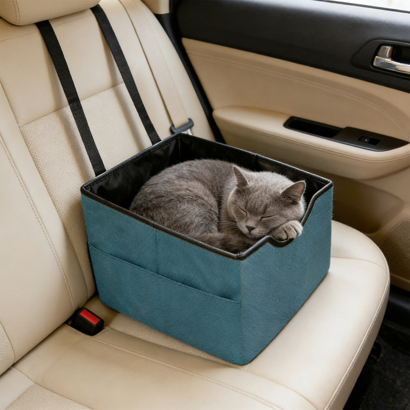 Siège d'auto portable pour siège arrière, 17,72 po x 15,75 po x 11,81 po, bleu ciel, Bleu ciel