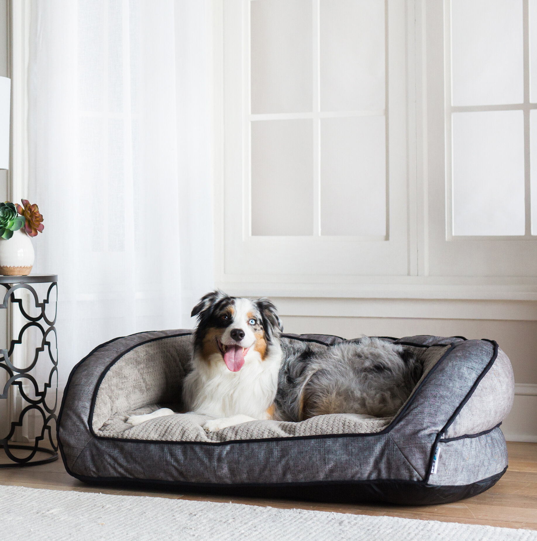 Wayfair  La-Z-Boy Dog Beds You'll Love in 2023