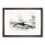 Beached Dolphin 1 Piece Single Picture Frame Painting-55543970-55543974