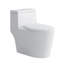 Toilette allongée une pièce à double chasse moderne (siège inclus)