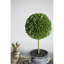 Ensemble de 4 buis artificiels en pot-531310442-531310444