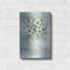 «White Blooms I» par Cindy Jacobs-1293238695