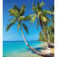 Ensemble de housse de couette ocean-70910518-70910519