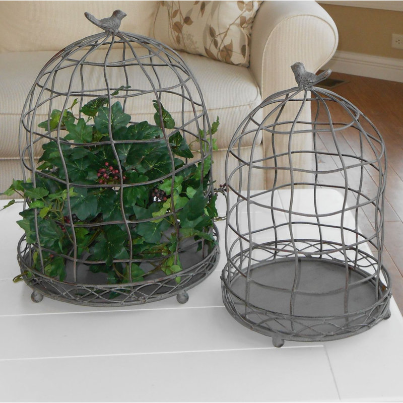 Astraea Hanging Planter