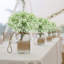 Baby's Breath Arrangement