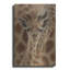 Métal luxueux «New Born» par Collin Bgo-101623537