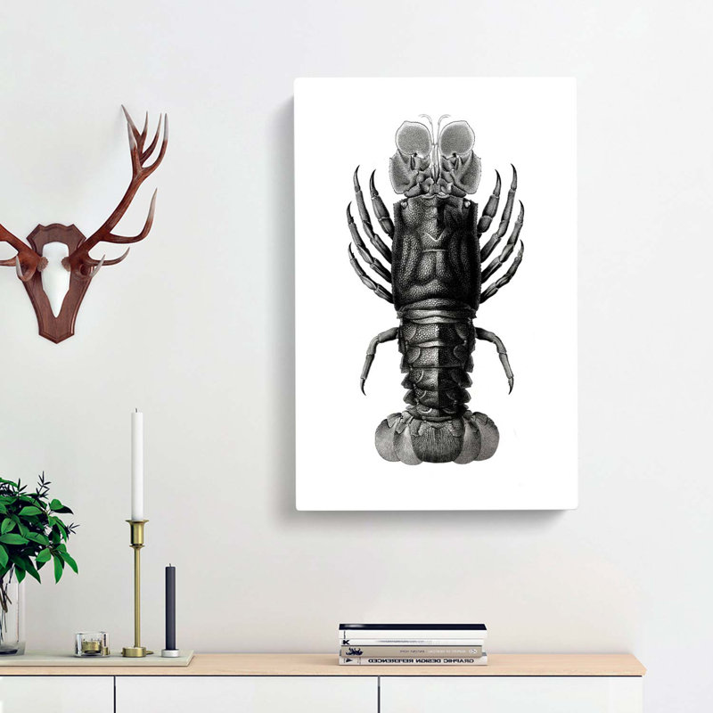 Lobster Illustrations by E.F. Jomard - Wrapped Canvas Print, 76cm H x 50cm W x 3cm D