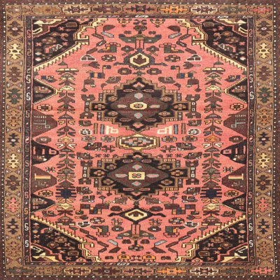 Oriental Indoor Rug