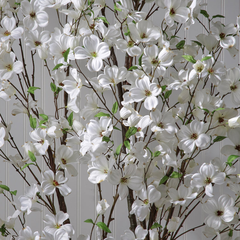 6.5' Southern Dogwood Tree, White