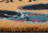 Hartfield Non-Slip Doormat-223310156