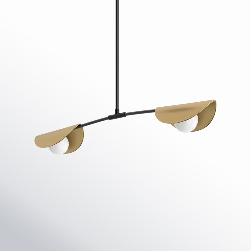 Luminaire suspendu linéaire unique à 2 lumières Gamora, Noir mat / laiton vieilli