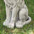 27.75"H Oversized MGO Guardian Sitting Lion Garden Statue (Set of 2)-122104038
