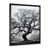 Black Picture Frame selected