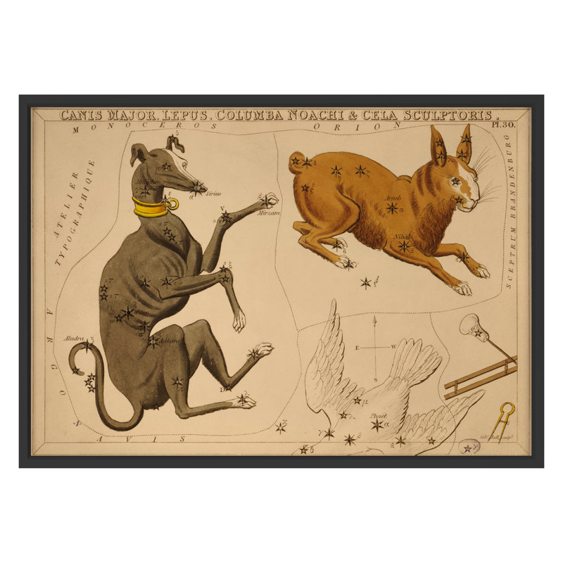 Canis Major Print by Grand Archives, 22" H x 31" W, Black Framed