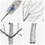 Holiday Lighting-869234355-869234357