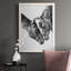 " Equine Portrait VI "-88378295-88378296