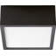 Pyxis Acrylic Flush Mount-19929018