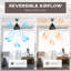 Ozelia Ceiling Fan with LED Lights-159150583-159150568