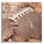 «Football Season» par Lori Deiter-1438116739