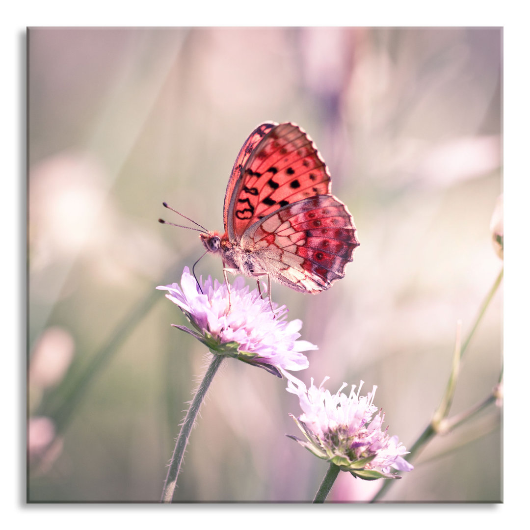 Glasbild Bezaubernder Schmetterling