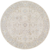 Oriental Indoor Rug